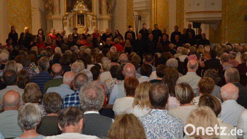"Singing Witt" begeisterte auf beim Benfizkonzert für die Renovierung der Stadtpfarrkirche in Vohenstrauß. Bild: Elisabeth Dobmayer
