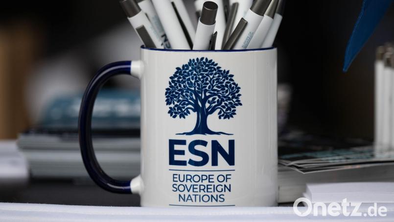 Die ESN-Partei ist als europäische politische Partei registriert. (Archivbild) Bild: Sebastian Kahnert/dpa