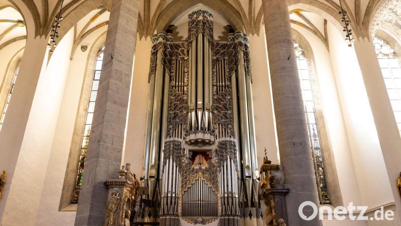 Im Eichstätter Dom soll die Neuigkeit verkündet werden. (Archivbild) Bild: Lennart Preiss/dpa