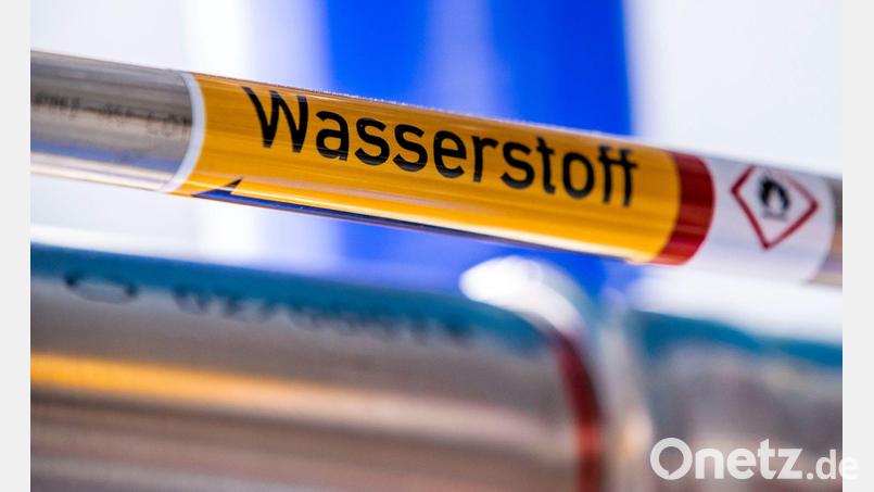 Airbus und MTU wollen einen Wasserstoffantrieb für Flugzeuge entwickeln. (Symbolbild) Bild: Jens Büttner/dpa-Zentralbild/dpa