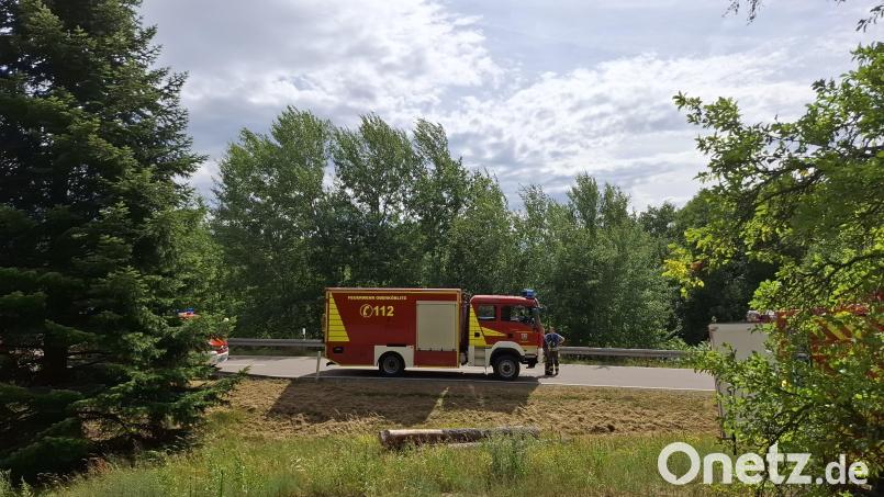 Der starke Wind brachte nicht nur die Bäume zum Schwanken, sondern erschwerte auch den Waldbrand-Einsatz am Dienstagnachmittag bei Nabburg. Bild: Eva Kreuzer