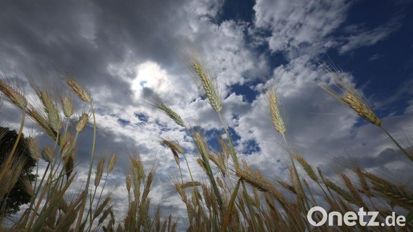 Eine schwache Kaltfront bringt verhältnismäßig kühle Temperaturen. (Archivbild) Bild: Karl-Josef Hildenbrand/dpa