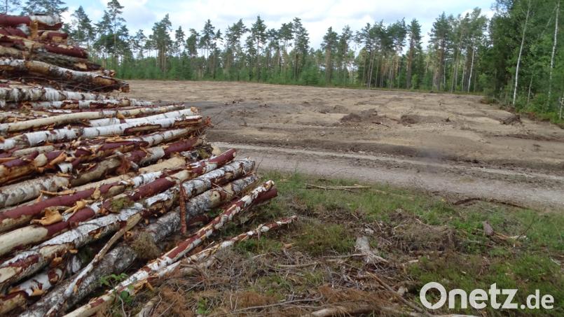 Godelmann bleibt zukunftsorientiert. Das Unternehmen hat damit begonnen, ein hektargroßes Grundstück an der A6 bei Högling für die Aufbereitung von Rohstoffen wie Sand und Kies herzurichten. Erst in fünf Jahren wird das Projekt komplett fertig sein. Bild: Wolfgang Houschka