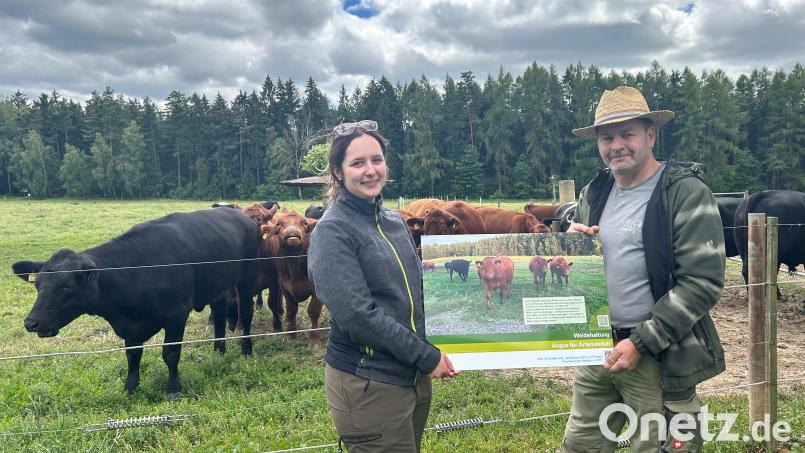 Anna Häfner vom AELF Tirschenreuth-Weiden und Thomas Rosner präsentieren das neue Schild. Bild: AELF Tirschenreuth-Weiden