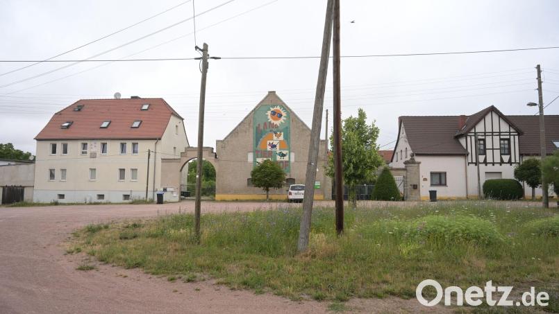 Das vier Jahre alte Mädchen war am Mittwochnachmittag von dem Familienhund im Ortsteil Drosa in der Gemeinde Osternienburger Land attackiert worden. Bild: Heiko Rebsch/dpa