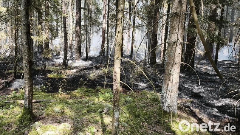 Beim Waldbrand bei Großensees brannte bisher nur der Waldboden. Trotzdem waren die Löscharbeiten aufgrund von Hitze, sowie unwegsamem und abgelegenem Gelände fordernd. Archivbild: Peter Nickl