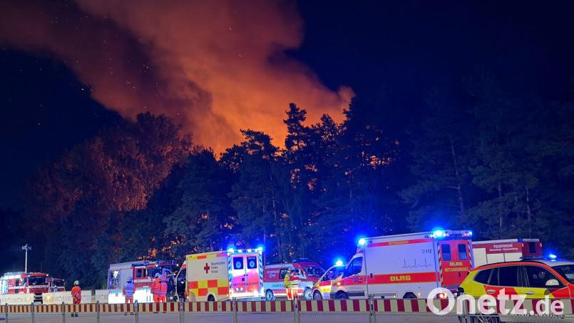 In Nürnberg brannte ein Waldstück. Bild: Sven Grundmann/NEWS5/dpa