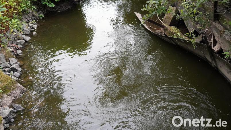 Die Schäden am Dießfurter Treibwerkskanal sind unübersehbar. Bild: Jürgen Masching
