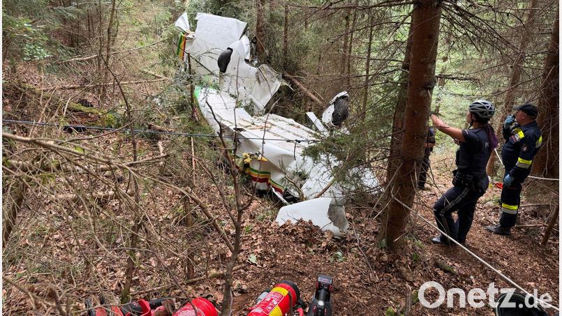 Die einmotorige Maschine stürzte in einem Waldgebiet ab. Bild: -/APA/Doku NÖ/dpa