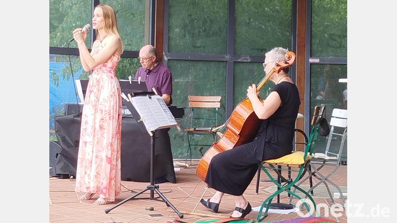 Die Sopranistin Laura Demjan, Cellistin Ute Sommer und Pianist Albert Sommer bilden das "Trio America Songbook". Bild: Helmut Kunz