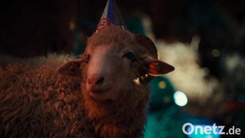 Die Schafe in der Serie „Sheep“ sehen sich selbst als die Krone der Schöpfung und gehen fest davon aus, die Menschen domestiziert zu haben. Bild: Patrick Wally/ZDF/dpa