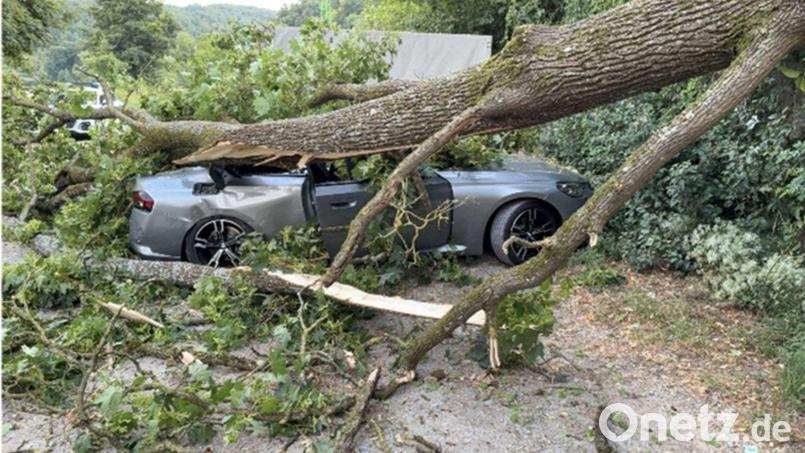 Ein umstürzender Baum hat in Etterzhausen ein geparktes Auto unter sich begraben. Die drei Insassen hatten großes Glück im Unglück. Bild: PI Nittendorf