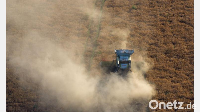 Noch herrscht Trockenheit, aber Gewitter sind im Anmarsch. Bild: Sebastian Kahnert/dpa