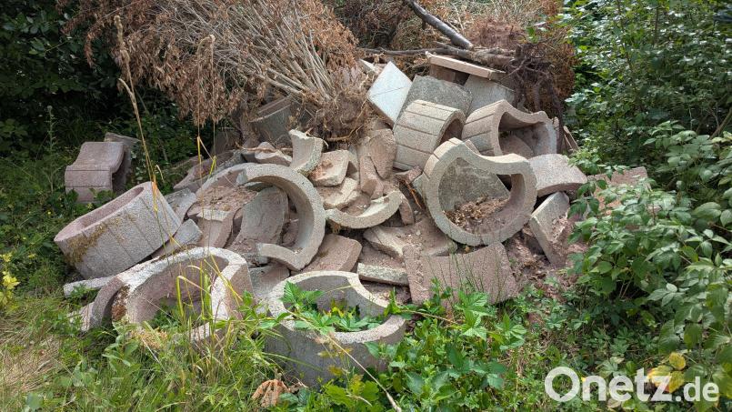 Pflanzsteine sowie vertrockneter Sträucher wurden im Industriegebiet Nord illegal entsorgt. Die Stadt Amberg bittet um Hinweise. Bild: Ulrike Höcht