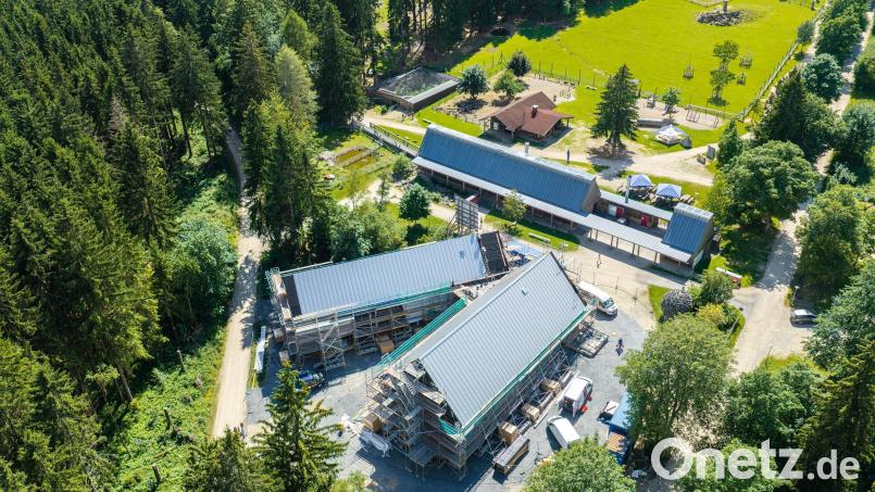 Von oben betrachtet, hat das künftige Walderlebniszentrum die Form einer liegenden Astgabel. Luftbild: Martin Hertel