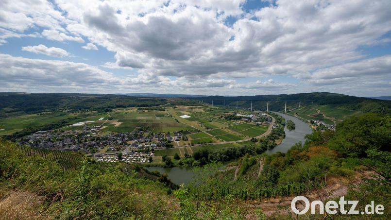 Blick auf die Mosel bei Ürzig. Die große Hitze bleibt in den kommenden Tagen aus. Bild: Harald Tittel/dpa