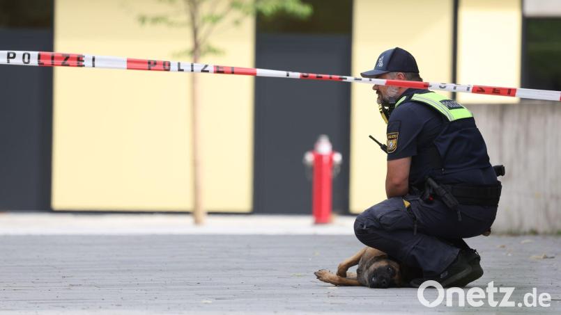 Bei dem Angriff an einem Gymnasium waren zwei 13 Jahre alte Mädchen schwer verletzt worden. (Archivbild) Bild: Karl-Josef Hildenbrand/dpa