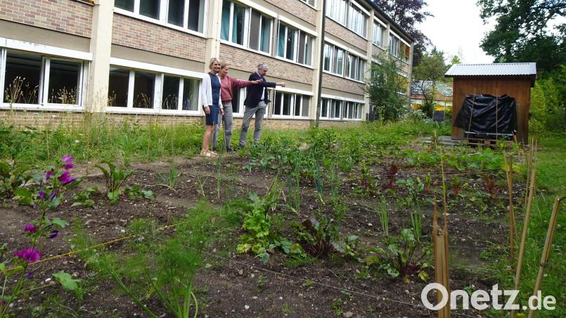 Für den "Ackerdemie" genannten Schulgarten des BSZ Neustadt/WN können sich Fachbetreuerin Evelin Stahl, Alexandra Steinl-Kick vom Zentrum für regionale Bildung und Schulleiter Franz Eckstein den Bau eines Hochbeets als Projekt der Schüler des Berufsvorbereitungsjahres "Neustart" vorstellen. Bild: ui