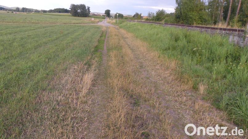 Der Au-Weg entlang der Bahnlinie geht nach einer Teilstrecke in einen Wiesenweg über. Dieser soll nun ebenfalls befestigt werden. Bild: Walther Hermann