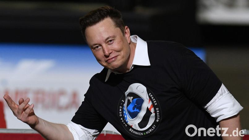 Der Tesla-Gründer ist offenbar kein Fan von Christopher Nolans „The Odyssey“. (Archivbild) Bild: Paul Hennessy/SOPA Images via ZUMA Wire/dpa