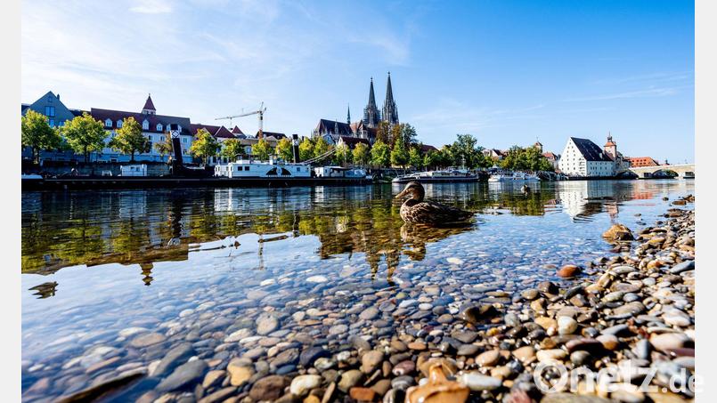 Entwarnung: Das Wasser der Donau soll keine gefährlichen Blaualgen enthalten. (Symbolbild) Bild: Armin Weigel/dpa