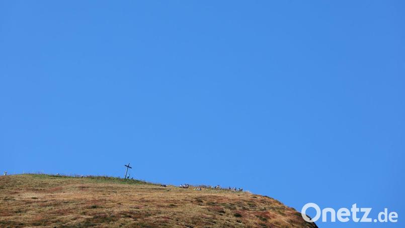 Die Frau wollte mit ihrem Mann ursprünglich zum Fellhorn wandern. (Archivbild) Bild: Karl-Josef Hildenbrand/dpa
