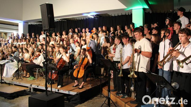 Über 150 Mitwirkende standen am Ende der beiden identischen Sommerkonzerte des Neustädter Gymnasiums zu "We are the World" von Michael Jackson und Lionel Richie auf der Bühne. Bild: Hans Prem