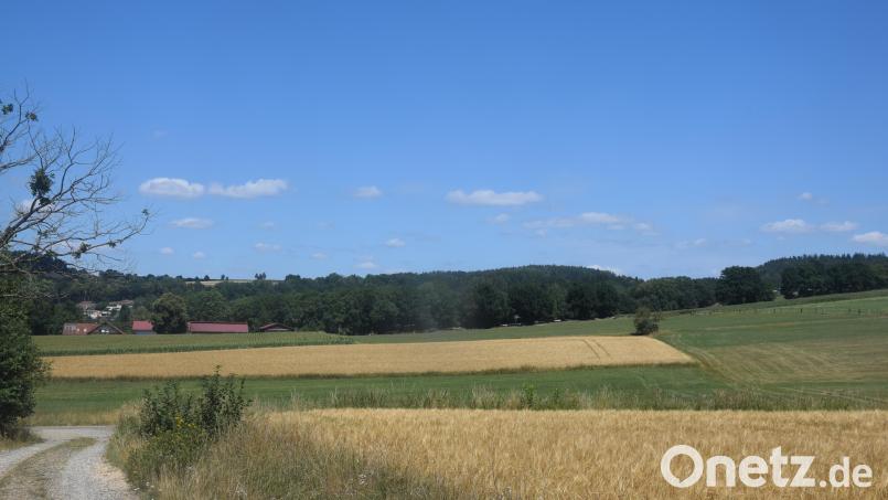 Die ersten Häuser von Edeldorf sind auf der linken Bildseite zu sehen. Die geplante Solaranlage soll auf dem Hang rechts entstehen. Bild: Ernst Frischholz