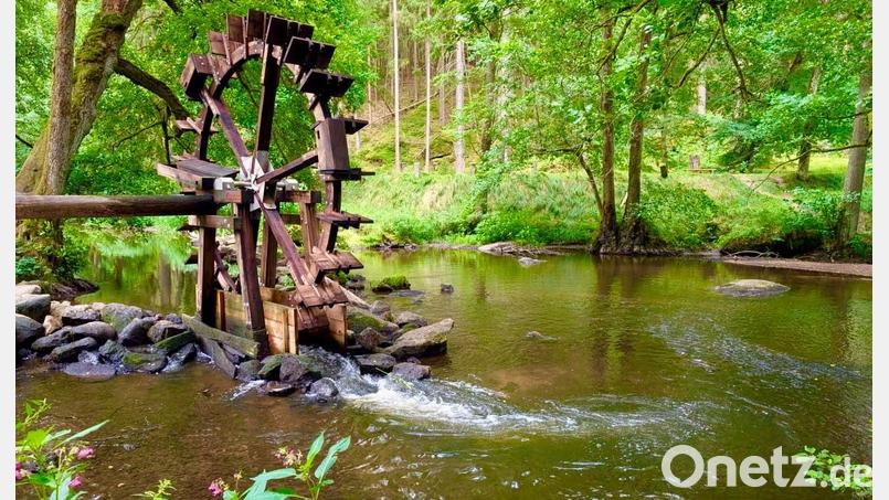 Wegen des Niedrigwassers kann die Tirschenreuther Waldnaab aktuell auch das Anfang Mai wieder installierte Schöpfrad bei der Blockhütte kaum antreiben. Bild: Luca Gleißner