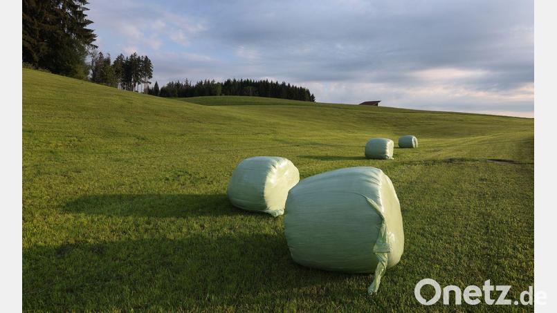 Mit sommerlichen Temperaturen in Bayern geht es ins Wochenende. Bild: Karl-Josef Hildenbrand/dpa