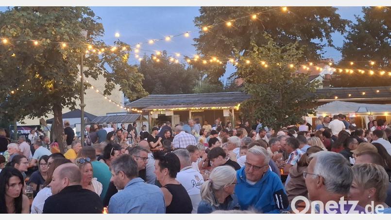 Hunderte von Besuchern erfreuten sich an dem romantischen Ambiente des großen Paddelclub-Festes "Nacht in Venedig" an der Naab zwischen Nabburg und Perschen. Bild: Gabriela Amann