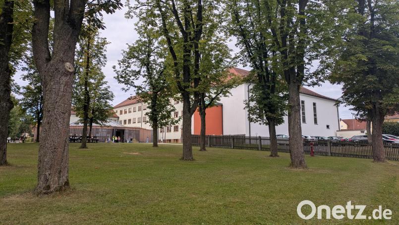 Der Blick von der Bushaltestelle in der Lämmerstraße auf die Markgraf-Diepold-Grundschule über den Pausenhof mit den Kastanienbäumen. Links das "Diepoldeum", wie die Aula genannt wird. Bild: Paul Zrenner