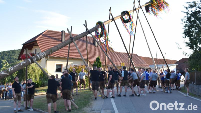 Die Kirwaburschen mussten sich tüchtig ins Zeug legen, bis der Kirwabaum aufgerichtet war. Bild: Richard Braun