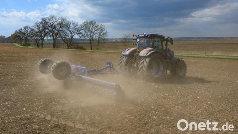 Für Landwirte ist das Walzen von Ackern und genutzten Flächen sehr wichtig. Wo jedoch etwa Wiesenbrüter leben. (Symbolbild) Bild: Patrick Pleul/dpa