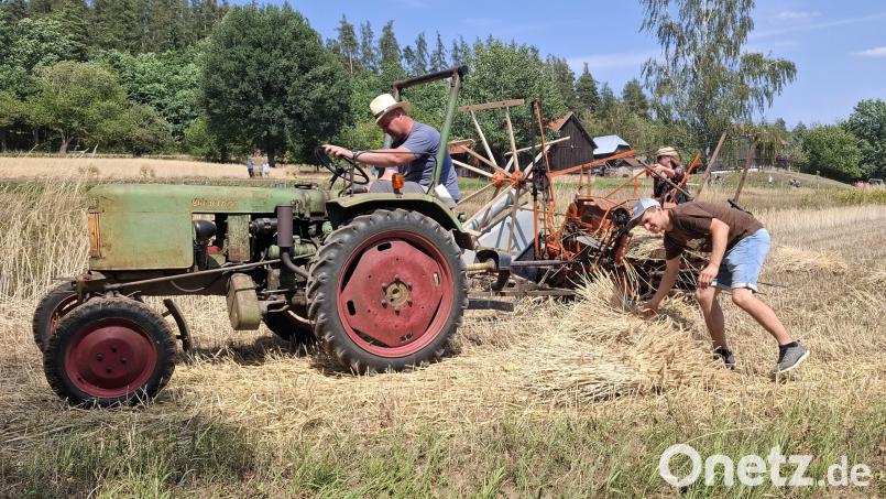 Der Aktionstag „Alte Landtechnik im Einsatz“ im Oberpfälzer Freilandmuseum lockte am Sonntag viele Besucher an. Bild: Gabriela Amann