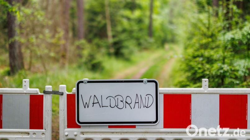 In Bayern besteht in den kommenden Tagen Waldbrandgefahr. (Archivbild) Bild: Daniel Karmann/dpa