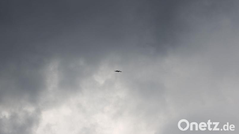 Der Südosten Brasiliens wurde vom Windsturm stark betroffen. (Symbolbild) Bild: Rolf Vennenbernd/dpa
