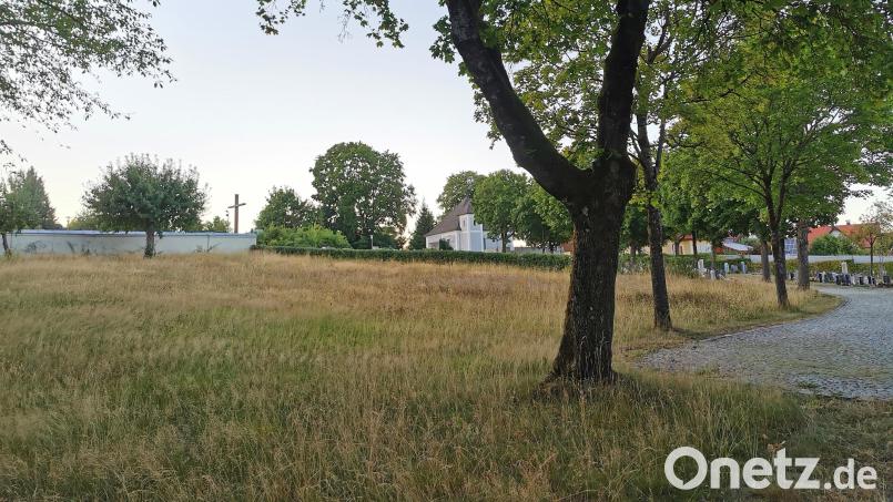 Der Stadtrat Oberviechtach spricht sich mehrheitlich dagegen aus, die Wiese im Friedhof mit Baumpflanzungen als "Park der Erinnerung" aufzuwerten. Der neue Friedhofsteil (im Hintergrund rechts) soll aber noch naturnaher werden. Bild: Gertraud Portner