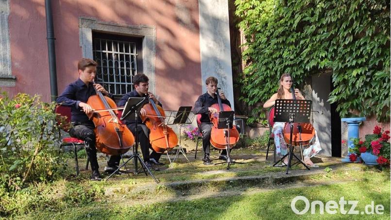 Cosima Regina Federle, Constantin Heise, Alexander Wollheim und Aaron Woyniewicz-Böer bringen mit ihren Melodien das Publikum bei den Wurzer Sommerkonzerten zum Schmelzen. Bild: Willi Cantzler