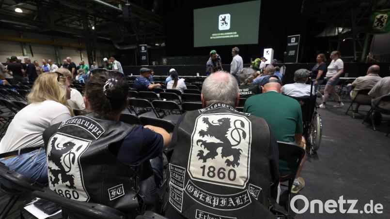 Fans des TSV 1860 München brauchten im Sommer ein dickes Fell – vor dem Regionalligastart überwiegt nun vielerseits die Hoffnung auf einen echten Neustart in Giesing. Bild: Karl-Josef Hildenbrand/dpa