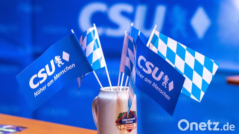 Zehn Mitglieder des CSU-Ortsverbands Oberviechtach, darunter auch ehemalige Stadträte, werden wohl keine weiß-blauen Parteifähnchen mehr schwenken. Eine Entscheidung des CSU-Schiedsgericht liegt vor. Symbolbild: Peter Kneffel