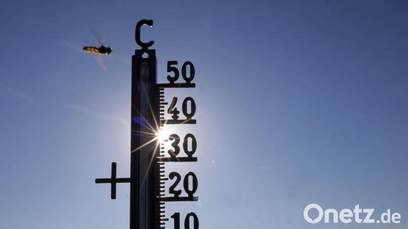 In diesem Sommer gab es bereits jetzt eine besonders hohe Anzahl an Hitzetoten. (Illustration) Bild: Thomas Warnack/dpa