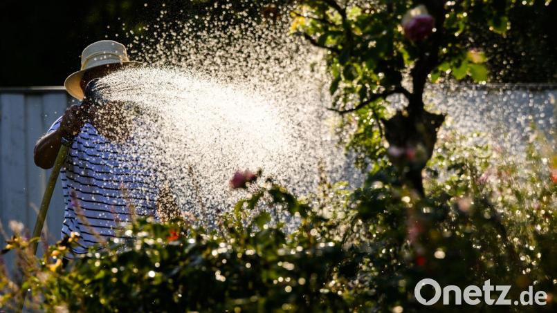 Noch bis einschließlich 1. August dauert das Bewässerungsverbot in München und den von den Münchner Stadtwerken mitversorgten Umlandgemeinden. (Symbolbild) Bild: Julian Stratenschulte/dpa