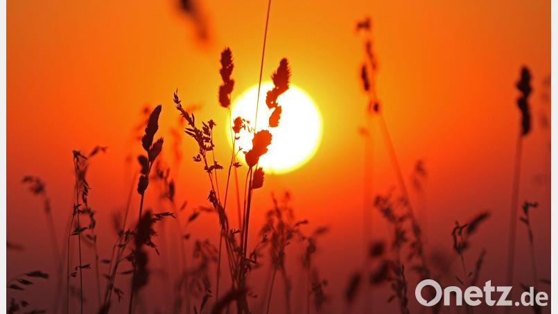 Insgesamt wurden im Juli im Schnitt rund 272 Sonnenstunden gemessen Bild: Matthias Bein/dpa