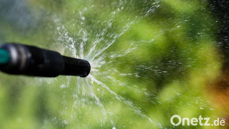 Die Stadt Nabburg ermahnt die Bürger zum Sparen von Trinkwasser.. In Gärten ist das Gießen auf das Notwendigste zu beschränken, der Rasen sollte gar nicht bewässert werden. Symbolbild: Julian Stratenschulte