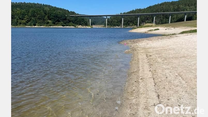 Mit glasklarem Wasser präsentiert sich der Eixendorfer Stausee aktuell - und das trotz mehrerer Hitzewellen. Doch der Zustand ist fragil. Bild: Walter Drexler