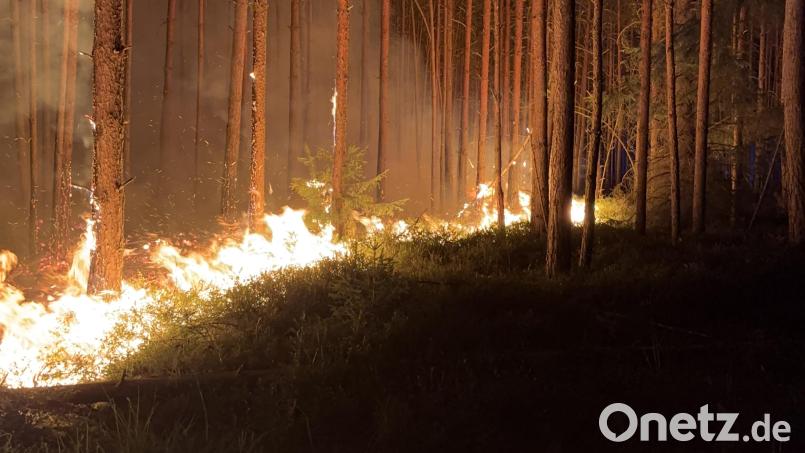 Zwei Waldbrände haben im Manteler Forst einen Großeinsatz ausgelöst. Bild: PI Neustadt a.d.Waldnaab, POM`in Bäumler