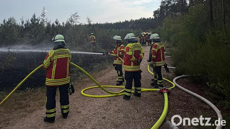 Schnell konnte der Brand in der Nähe des Dießfurter Freizeitsees eingedämmt werden. Bild: Feuerwehr Dießfurt