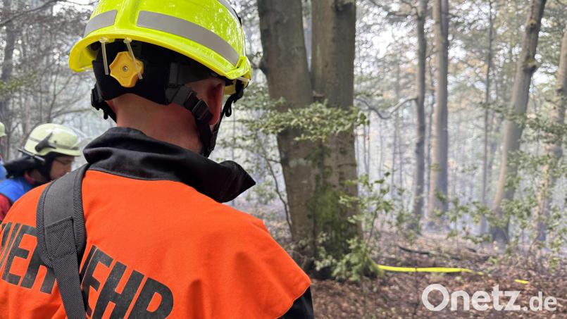Der Brand im Wald bei Freudenberg war am Samstagmittag so weit unter Kontrolle, dass sich das Feuer nicht weiter ausbreitete. Im Wald schwelt es jedoch weiter. Bild: Heike Unger