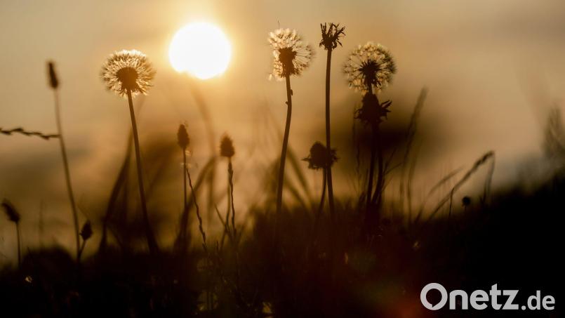 Das Wetter in Deutschland wird in den nächsten Tagen heiß und gewittrig. Bild: Thomas Warnack/dpa